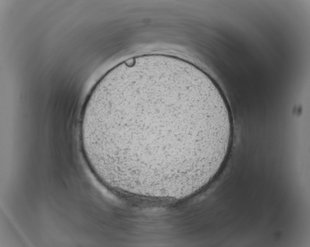 X0000112781525200909171325