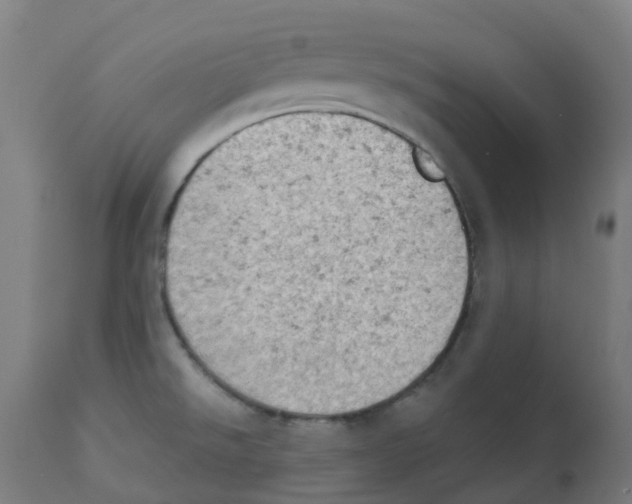 X0000112781526200909171325