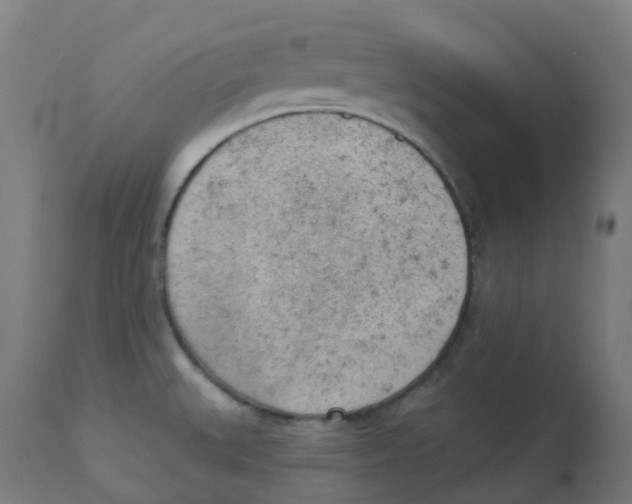 X0000112781527200909171325