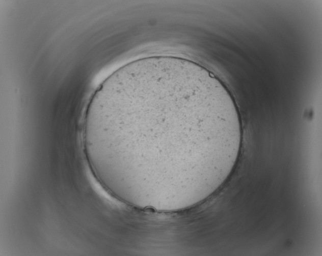 X0000112781528200909171325