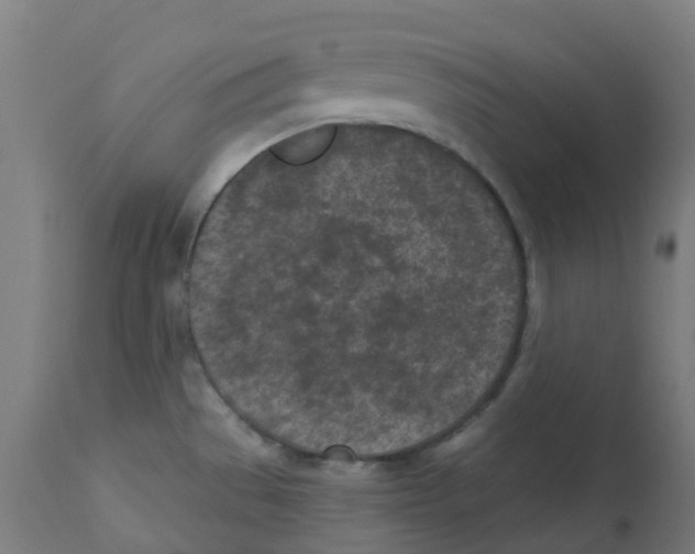 X0000112781529200909171325