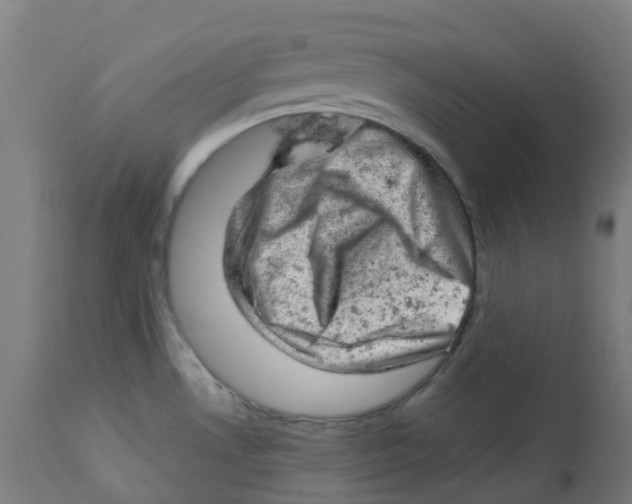 X0000112781530200909171325