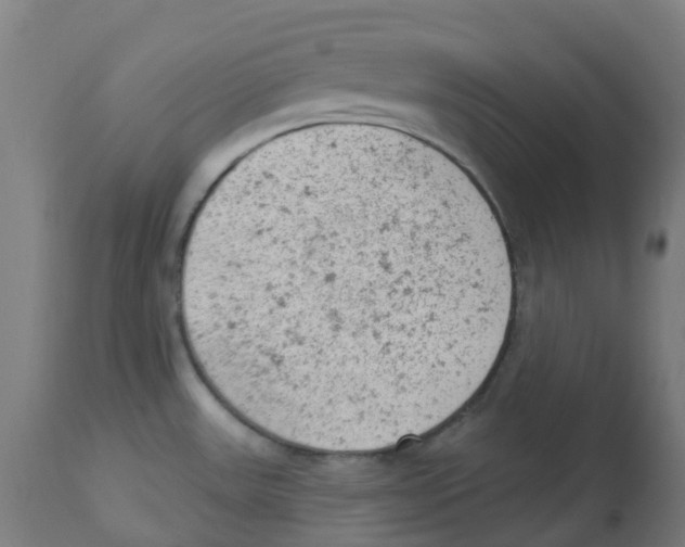 X0000112781531200909171325