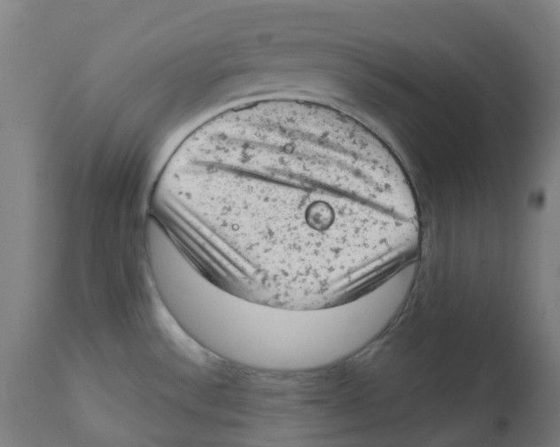 X0000112781532200909171325