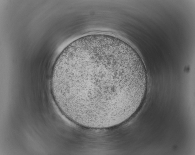 X0000112781533200909171325