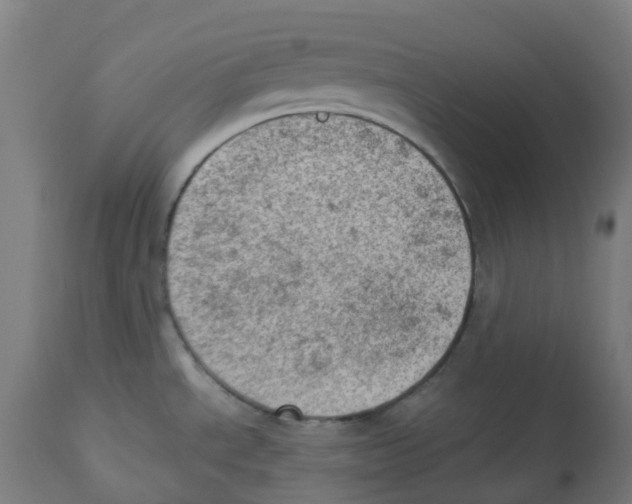 X0000112781534200909171325