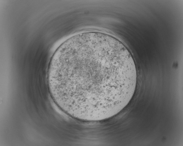 X0000112781535200909171325