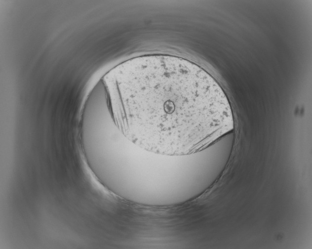 X0000112781536200909171325