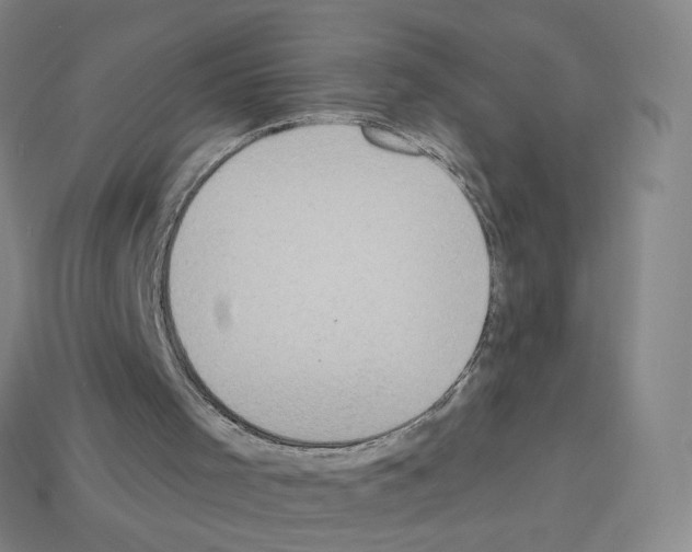 X0000112780001200910011307