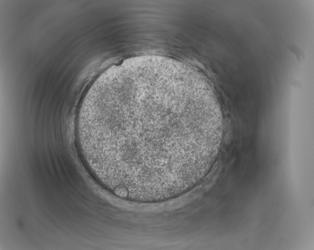 X0000112780002200910011307