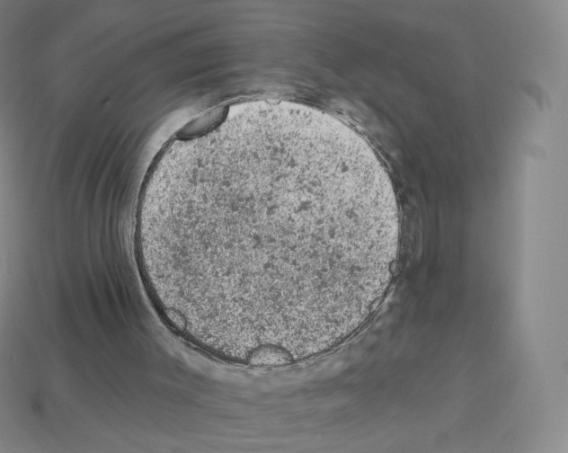 X0000112780003200910011307