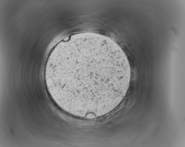 X0000112780004200910011307