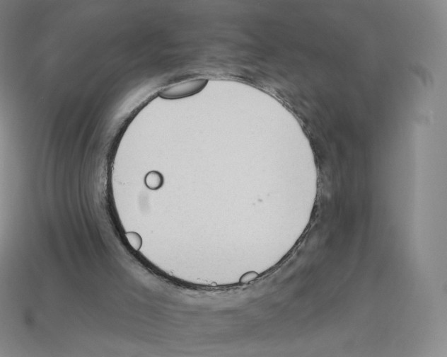 X0000112780005200910011307