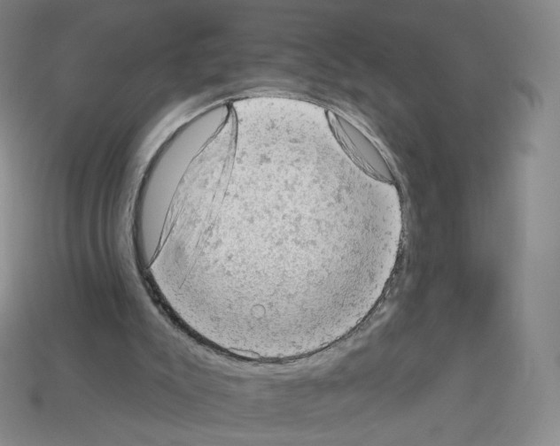 X0000112780007200910011307