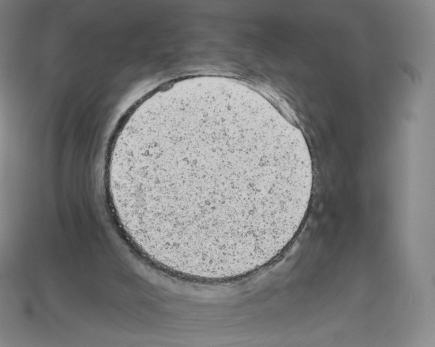 X0000112780008200910011307