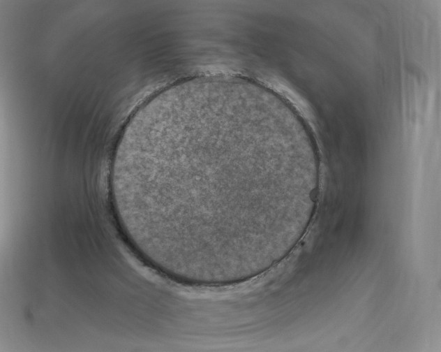 X0000112780009200910011307