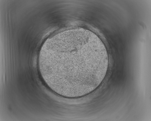 X0000112780010200910011307