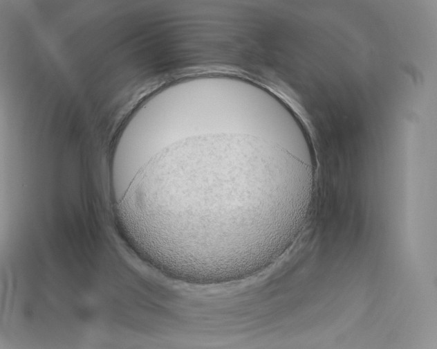 X0000112780013200910011307