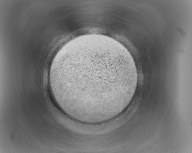 X0000112780014200910011307