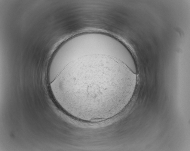 X0000112780015200910011307