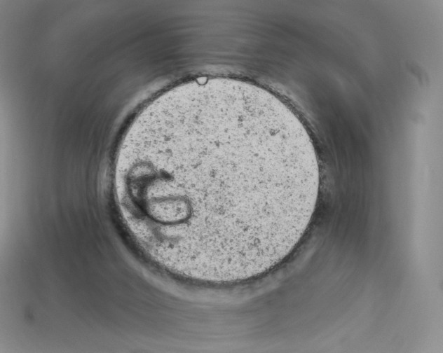 X0000112780016200910011307