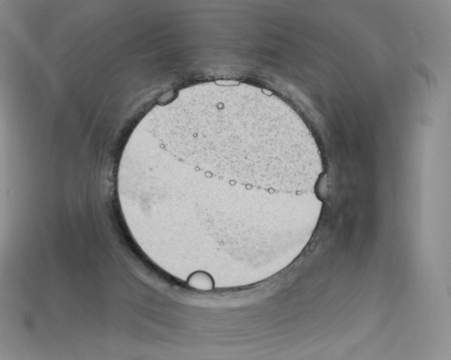 X0000112780017200910011307