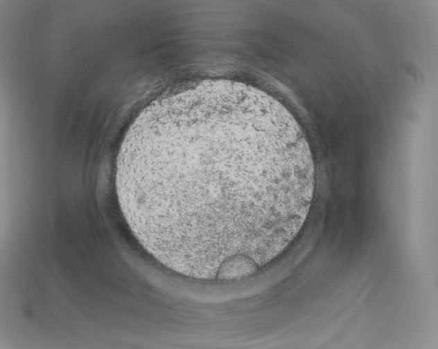 X0000112780018200910011307