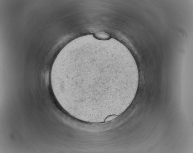 X0000112780019200910011307