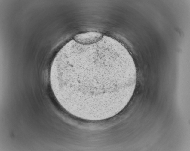 X0000112780020200910011307