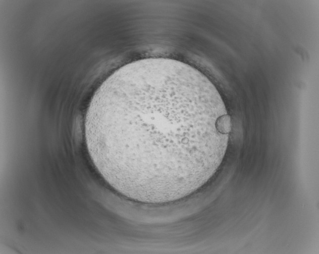 X0000112780022200910011307