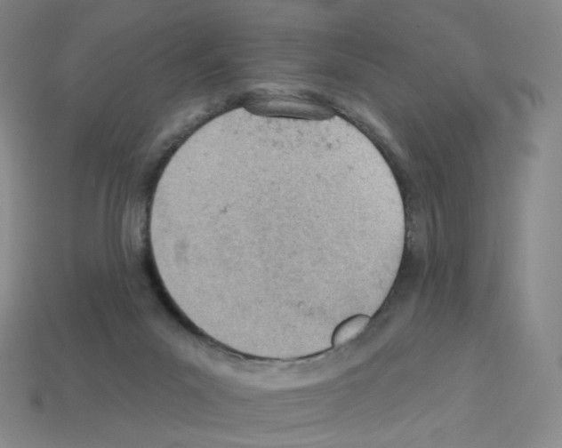 X0000112780023200910011307