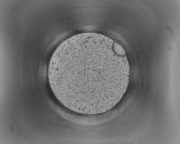 X0000112780024200910011307