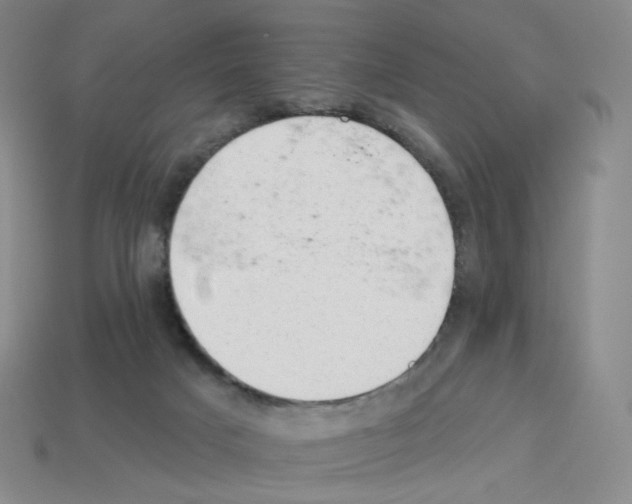 X0000112780025200910011307