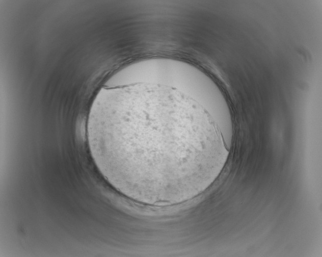 X0000112780027200910011307