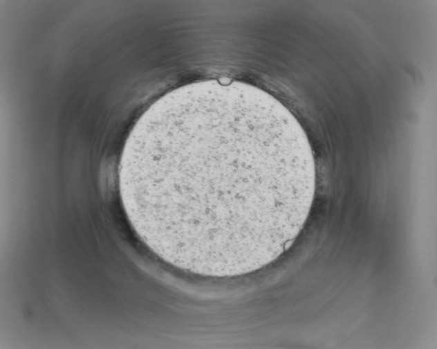 X0000112780028200910011307