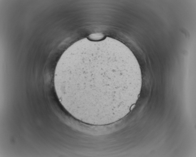 X0000112780031200910011307