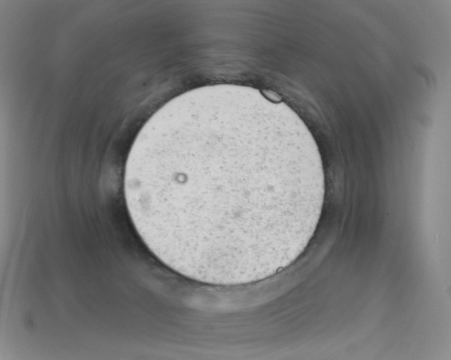 X0000112780033200910011307