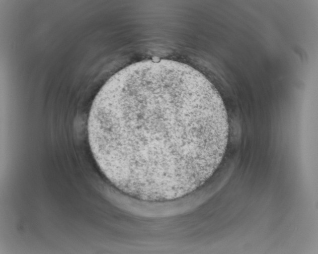 X0000112780034200910011307