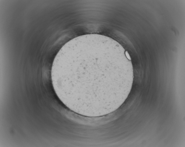 X0000112780035200910011307