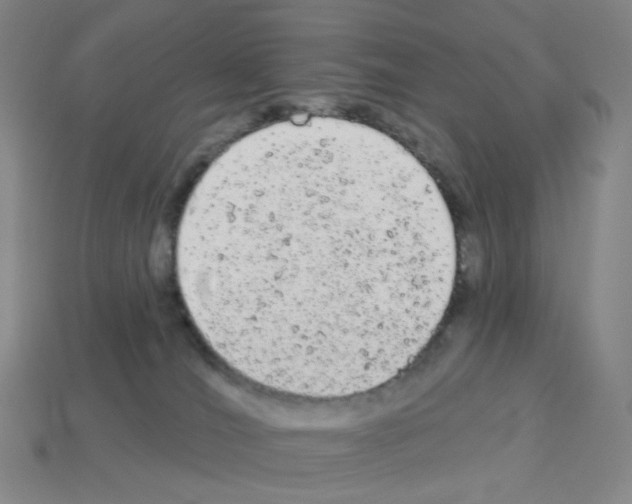 X0000112780036200910011307