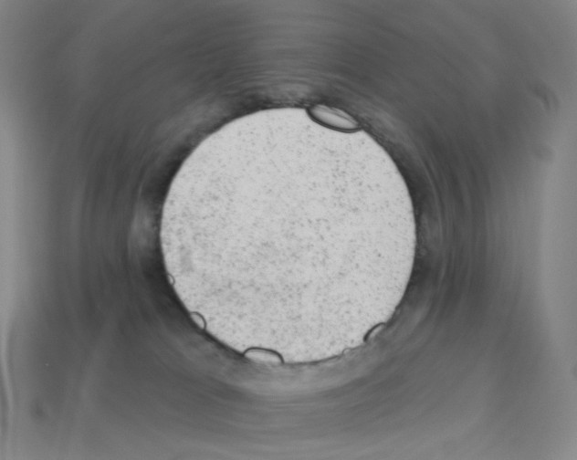 X0000112780037200910011307