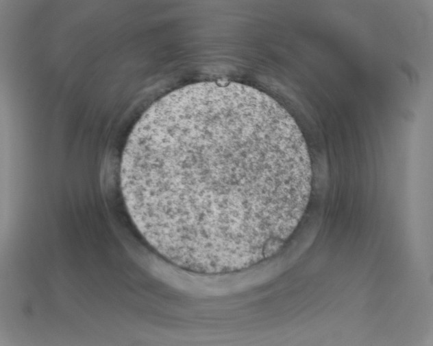 X0000112780038200910011307