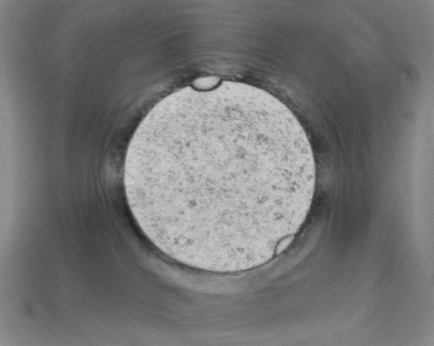 X0000112780040200910011307