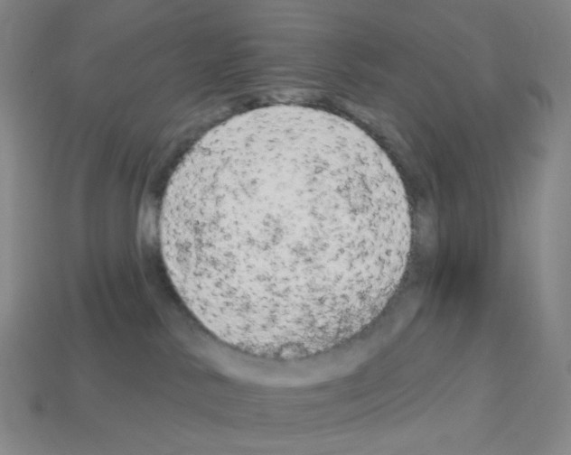 X0000112780042200910011307