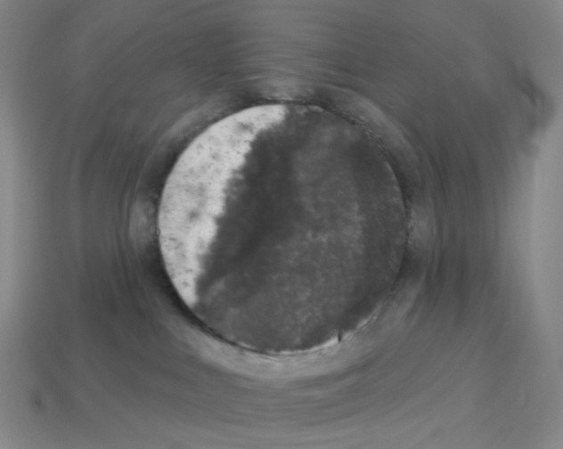 X0000112780043200910011307