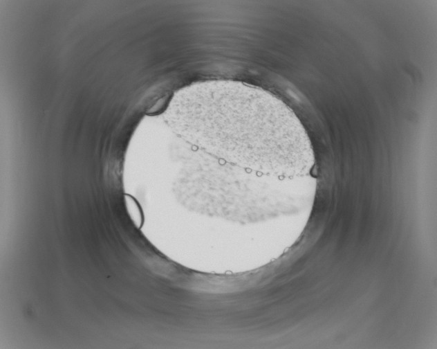 X0000112780045200910011306