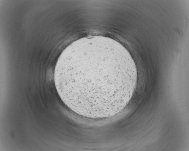 X0000112780048200910011306