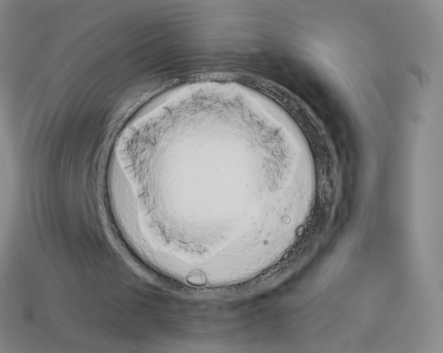 X0000112780049200910011306