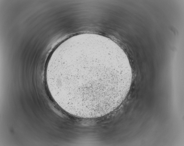 X0000112780050200910011306