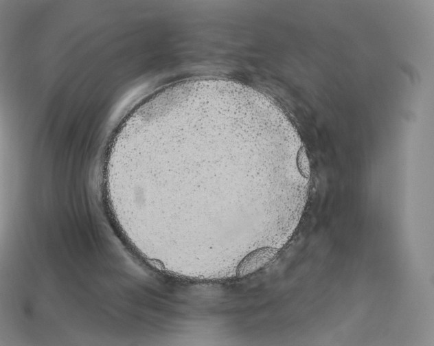 X0000112780053200910011306